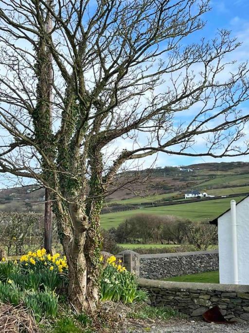 Gors Eilian Villa Amlwch Dış mekan fotoğraf