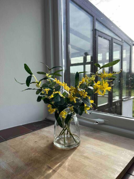 Gors Eilian Villa Amlwch Dış mekan fotoğraf